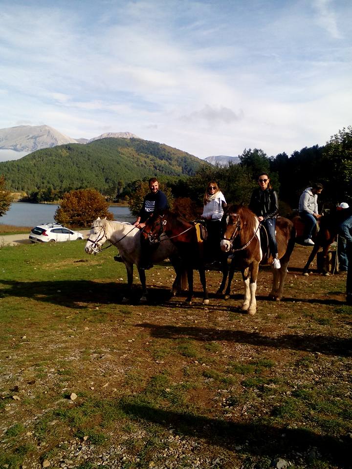 panorama7